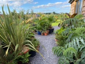 Garden Design Photos (21)